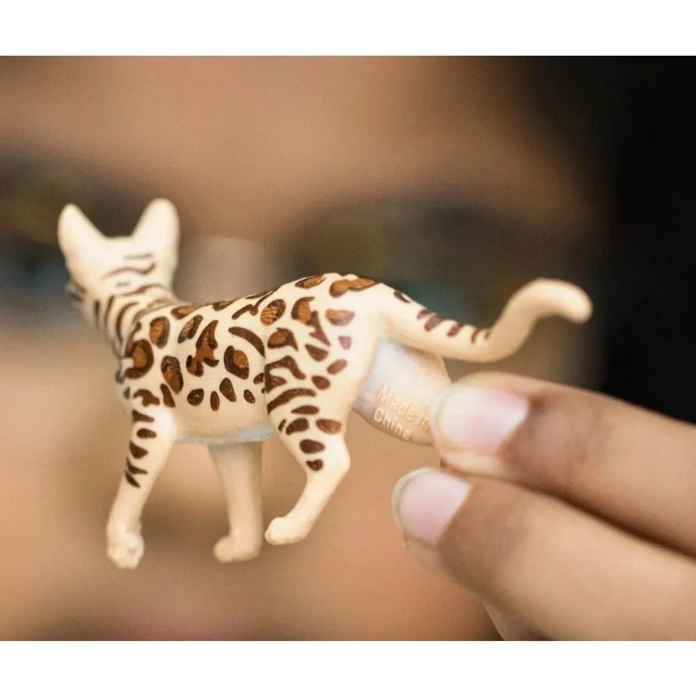 Bengal Cat 13918