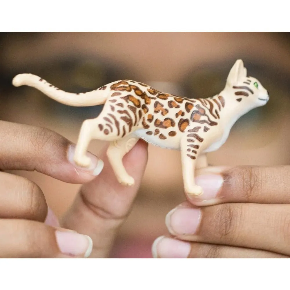 Bengal Cat 13918