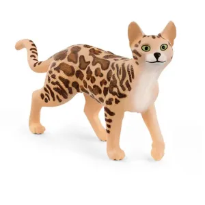 Bengal Cat 13918