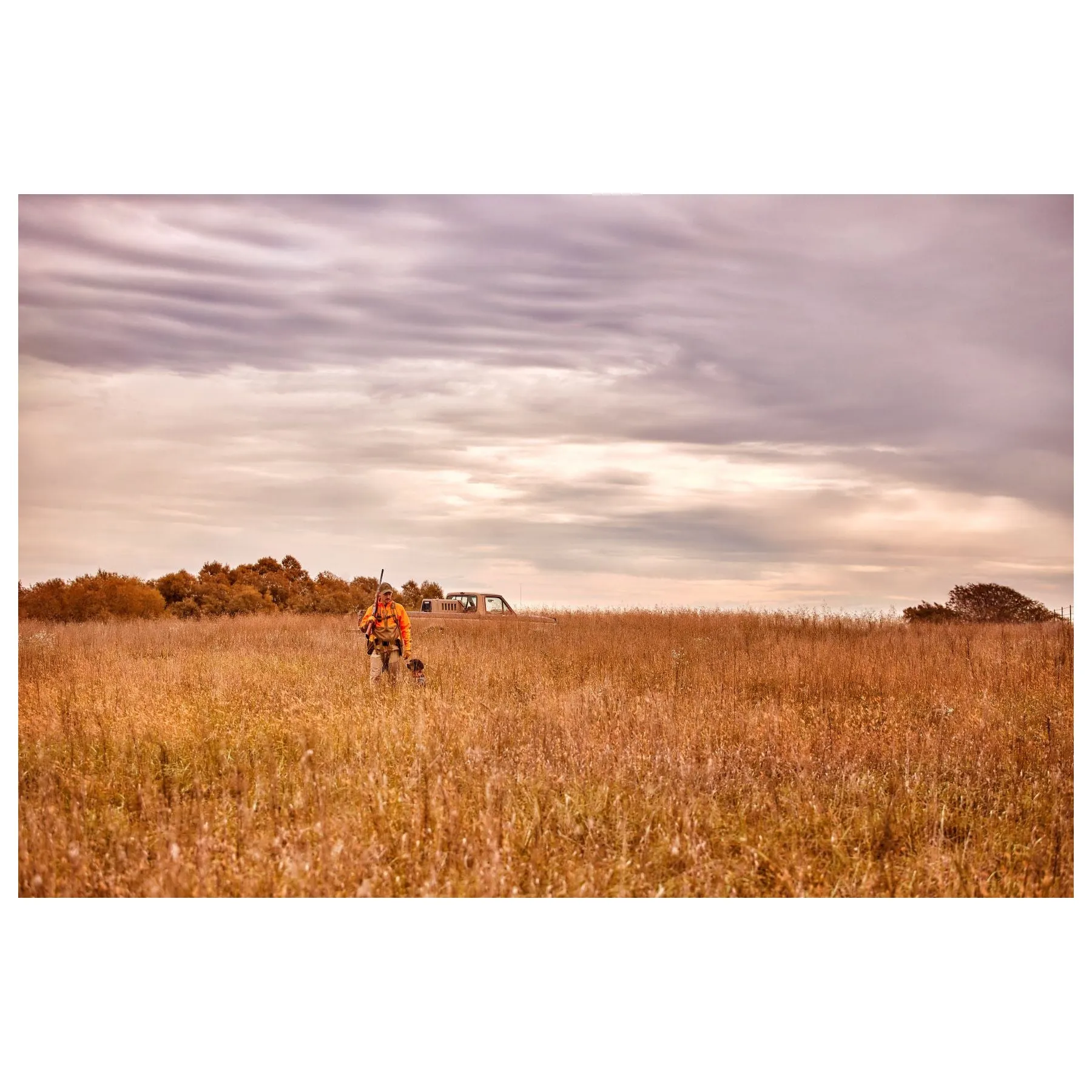Garmin Alpha 10 Compact Dog Tracking and Training multi-GNSS Handheld