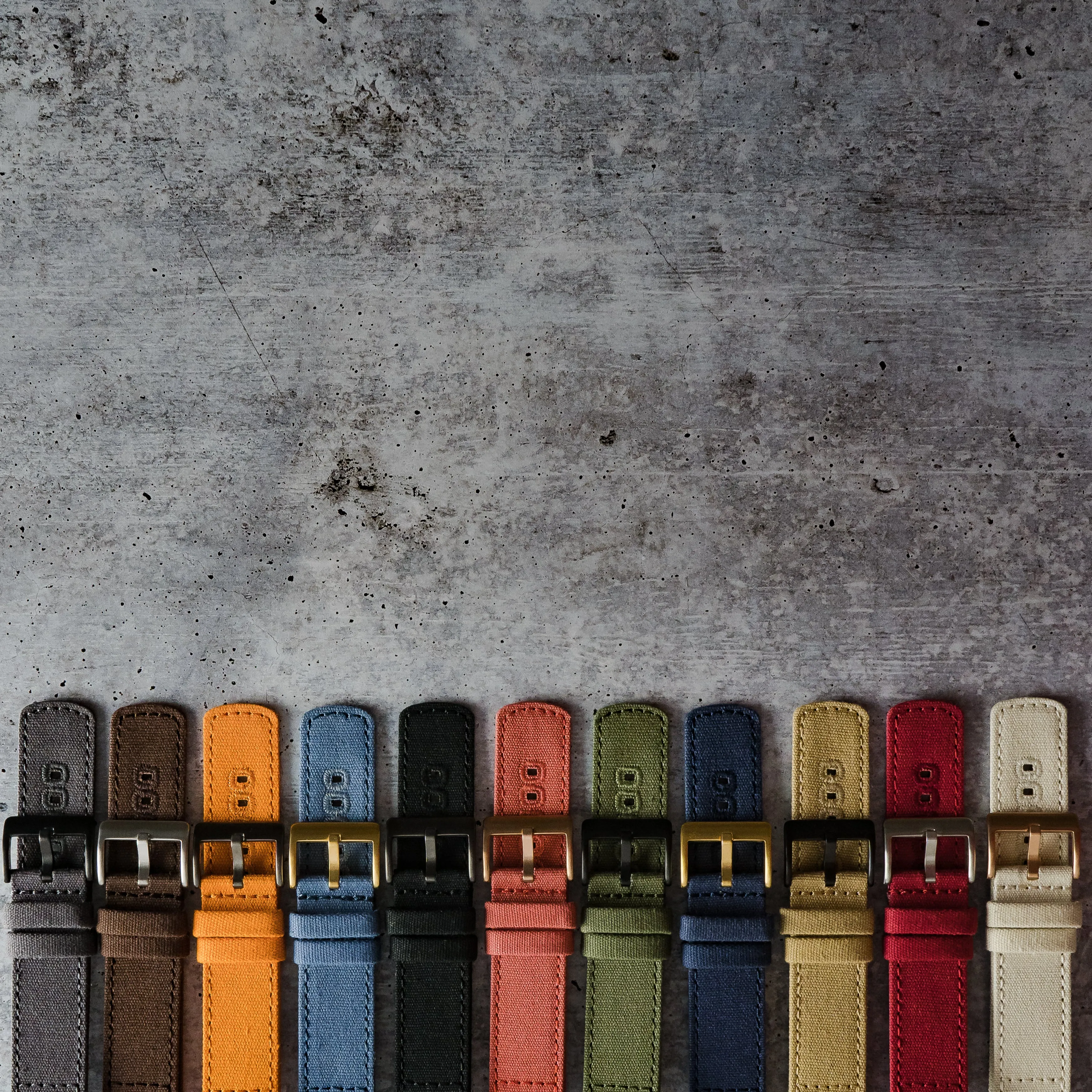 Timex Weekender Expedition Watches Autumn Canvas Watch Band